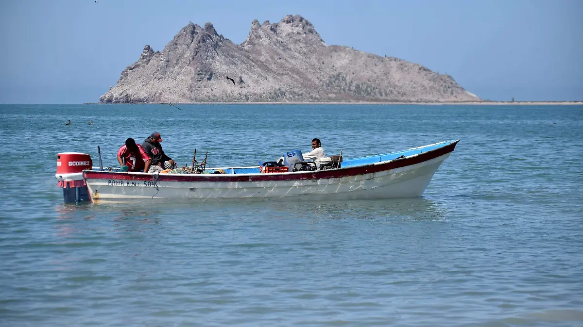 09-04-2022-Pescadores Bahía de KIno-carlos Villalba (16)